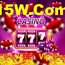 Explore as vantagens do Ytbet Vip: serviço profissional e confiabilidade